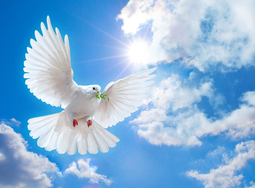 Obituary Image